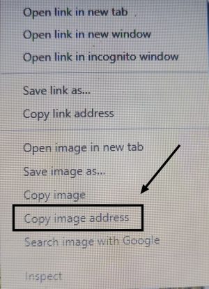 copy image address